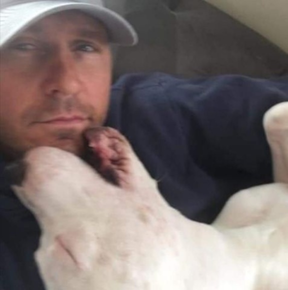 Meet your Posher, Davin - Picture 1 of 1